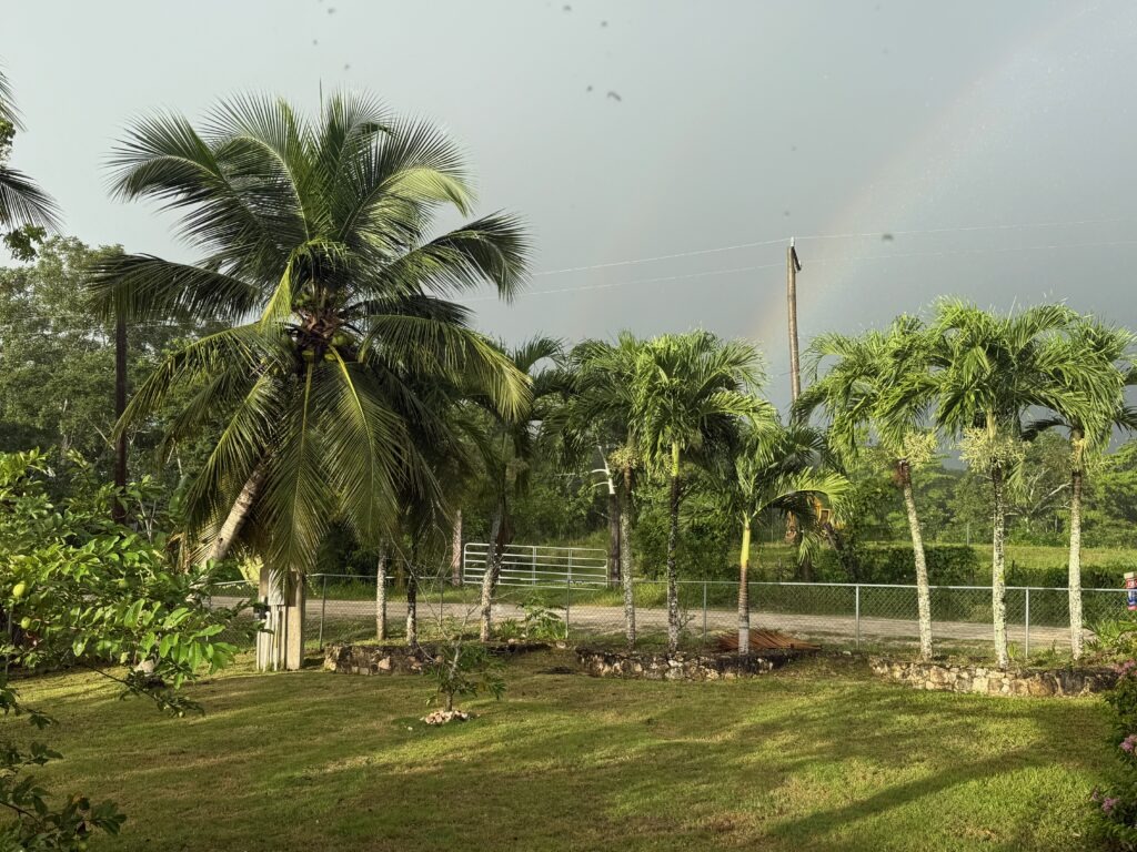 View from our AirBnB